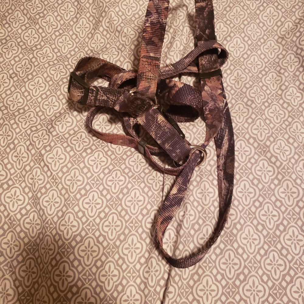 Camo dog leash